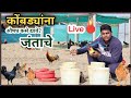 कोंबड्यांना जंताचे औषद देणे | कुक्कुट पालन Live Demo | आधुनिक शेती कुक्कुटपालन #poultry