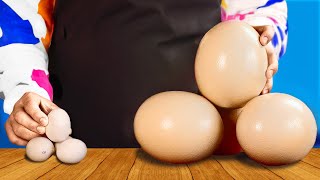 OSTRICH EGGS VS CHICKEN EGGS - WHICH TASTES BETTER by VANZAI