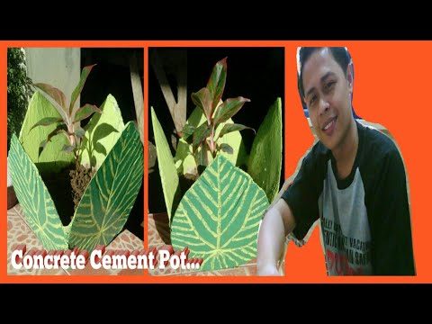 DIY.ideas making beautiful cement flower pot/ using tree leaf for