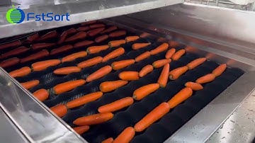 Carrot washing drying and sorting line; Radish sorting machine; vegetable grading machine