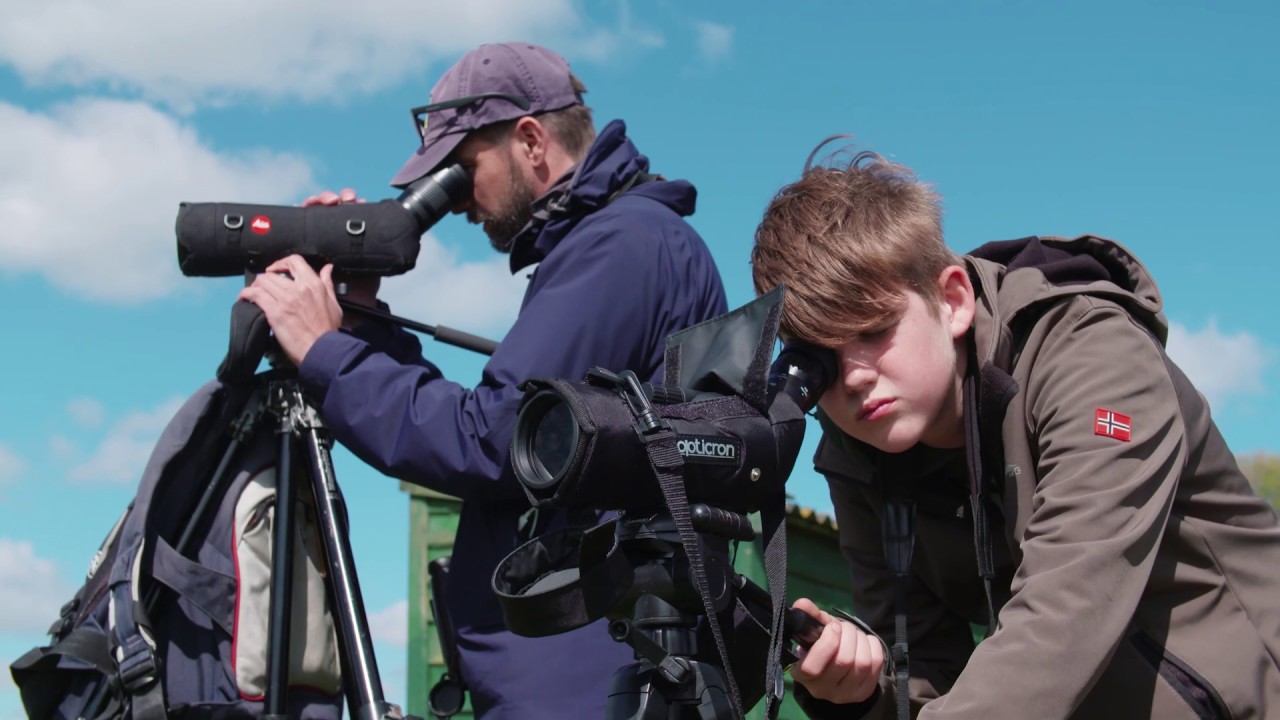 Waddenvogel festival 2019