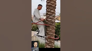 أغرب طريقة لصعود النخله 