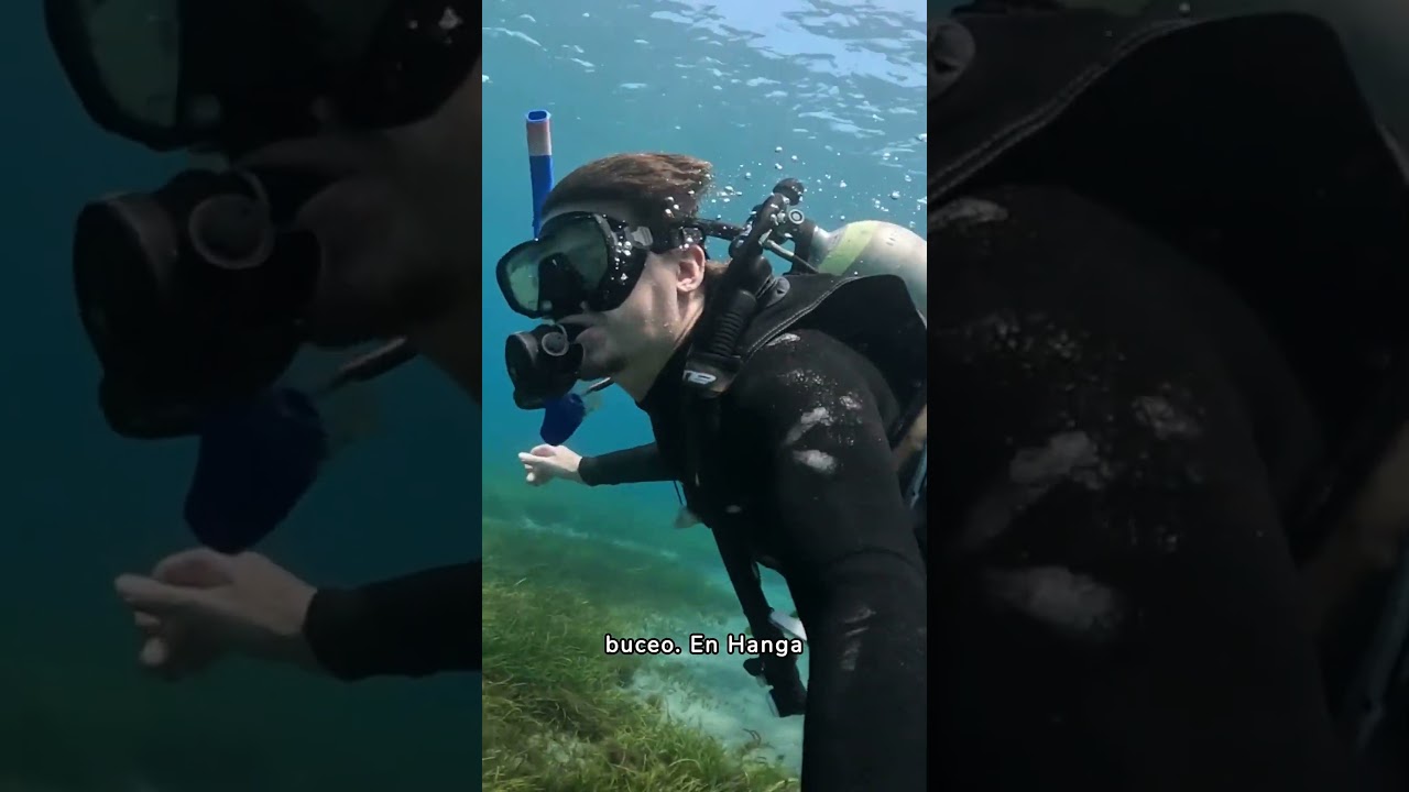 HANGA PIKO RAPA NUI | BUCEO | TORTUGAS #shorts