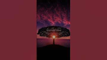 قرآن كريم بصوت خاشع للشيخ ياسر الدوسري #قرآن #تلاوة_خاشعة #ياسر_الدوسري #quran