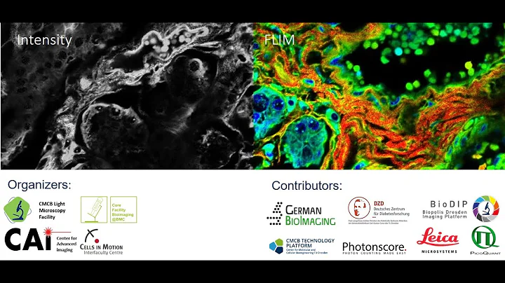 Lecture 1: Introduction to Fluorescence Lifetime Imaging Microscopy (FLIM)