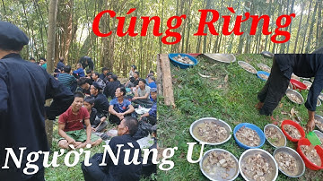 Lễ Cúng Rừng Người Dân Tộc Nùng U Chỉ Diễn ra Tháng2và Tháng6Âm lịch và Những Điều Cấm kị