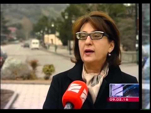 მაია ფანჯიკიძის კომენტარი ირანთან უვიზო რეჟიმის აღდგენასთან დაკავშირებით