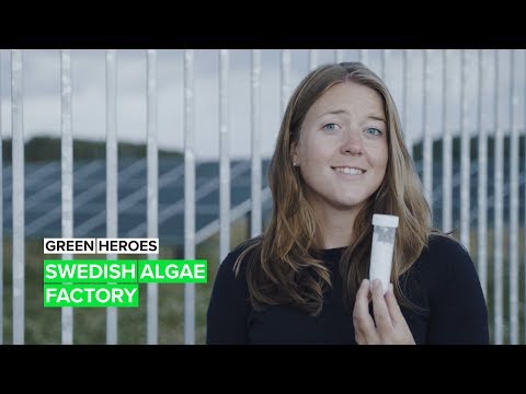 Meet Postcode Lotteries Green Challenge finalist Swedish Algae Factory