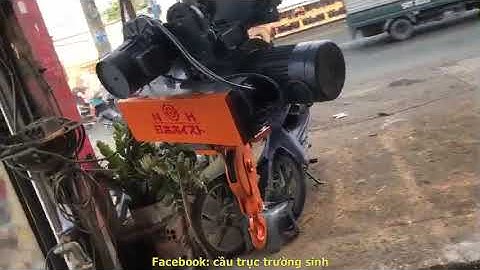 palang điện 3 tấn dầm đơn  cầu trục trường sinh ts12