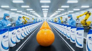 How Anti-Dandruff Shampoo is Made in Factories | Process Foundry