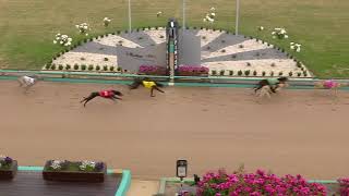 MEA SAT 21 NOV 20 R3