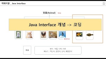 #9 자바 Interface Coding 으로 이해하기 | 자바 Interface 코딩하면서 알아보기