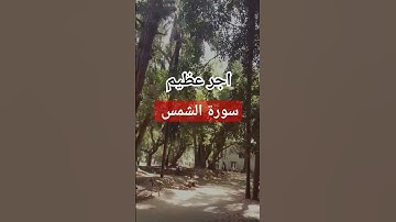 سورة الشمس #quran #المغرب