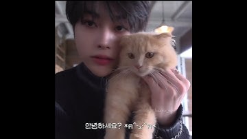 Đẹp đến nao lòng ~ #TEMPEST #TPST #템페스트 #HANBIN #HANBIN_TEMPEST #한빈 #템페스트_한빈