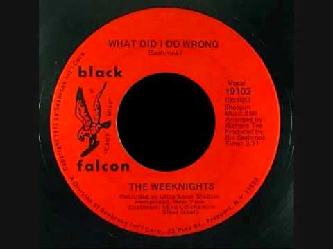 What Did I Do Wrong  -  The Weeknights