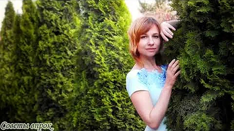 ➤ Какие деревья нельзя сажать рядом с домом ➤ Нельзя садить возле дома ➤ Вредные деревья ➤