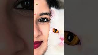 Chat GPT prompts for Pet parents