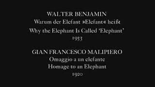 Walter Benjamin: Why the Elephant Is Called ‘Elephant’