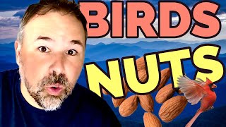 LIVE ENGLISH LESSON: BIRDS AND NUTS