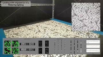 Fully neuromorphic vision and control for autonomous drone flight: supplementary video 1