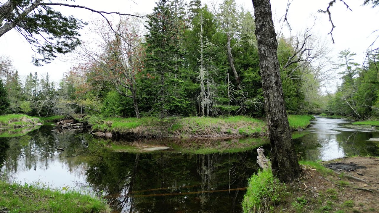 Spring Awakening! Relax to Beautiful Views along the Lovely Nine Mile River in Nova Scotia, Canada