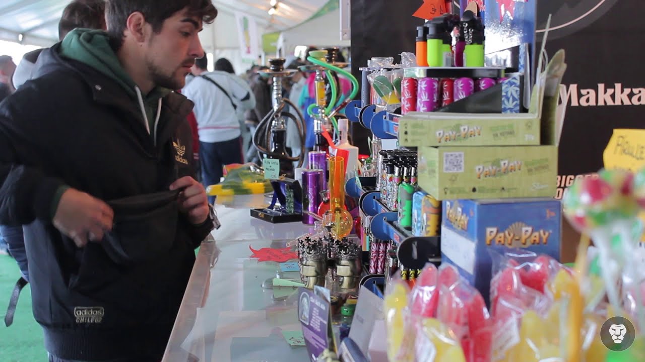 After Movie Viña Grow QNUBU 2018