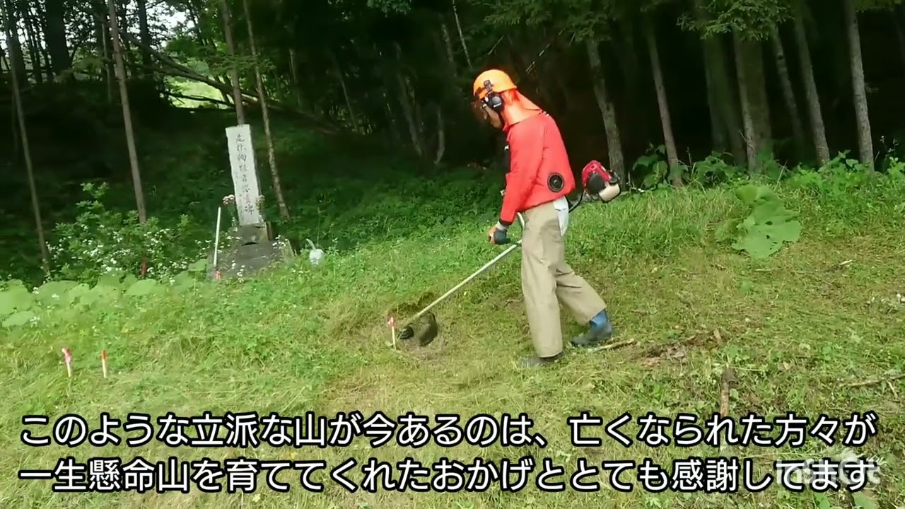 草刈り】4サイクルエンジン刈払機 ホンダ UMK435（UTJT） ナイロン 