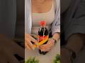 Simple Trick to Keep Your Plants Fresh & Hydrated