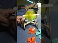 The DIY Home-Made DC 3 Volt Fan