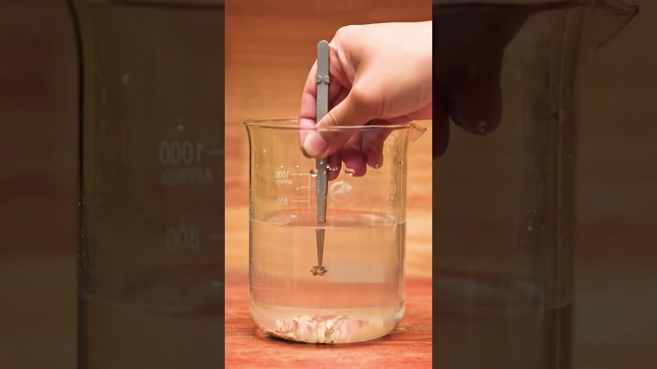 Making a daffodil diamond ring, Options other than rose diamond rings but still beautiful