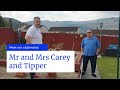 C. B. and C. Harris Pigeons - meet our clubmates: Mr and Mrs Carey and Tipper