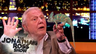 Sir David Attenborough Aimed His Tame Chameleon At Flies | The Jonathan Ross Show