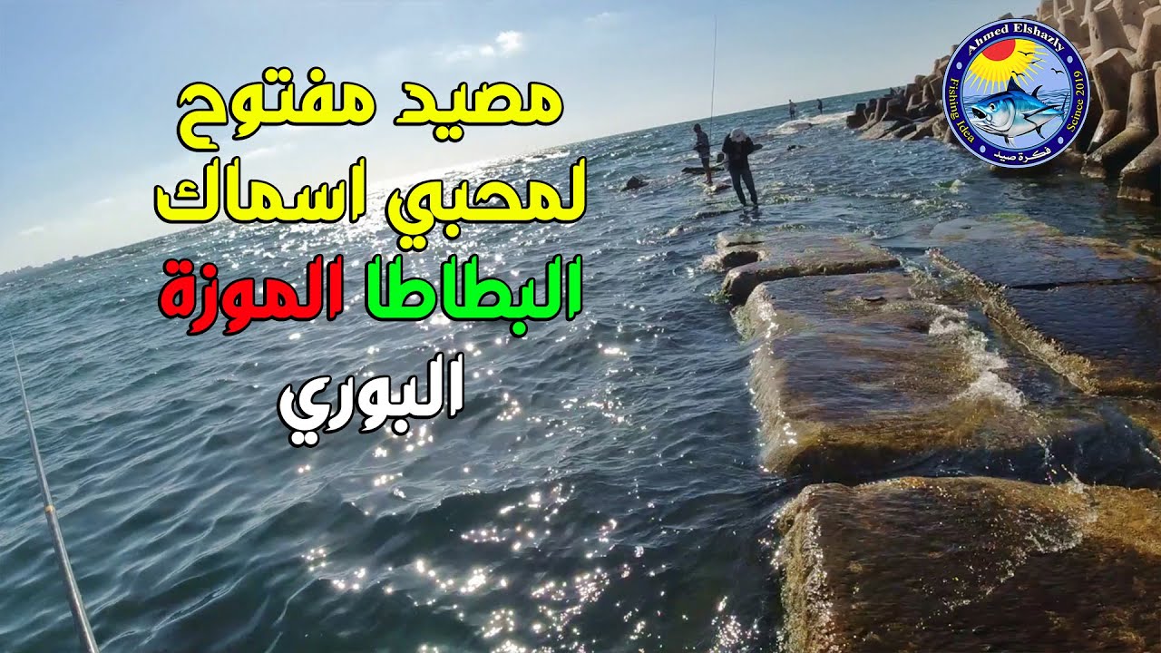 مكان مميز لصيد الاسماك 🎣  ساعتين بطاطا او سيجان  من الاخر - اسكندرية