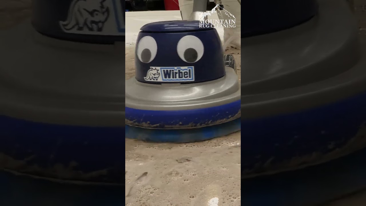 Looks Like Chocolate Milk But It Sure Doesn't Smell Like It! Satisfying ASMR Carpet Cleaning.