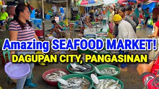 BIGGEST Seafood Market of Pangasinan | DAGUPAN FISH MARKET + PALENGKE | DECEMBER TOUR  PHILIPPINES