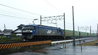 2019/05/01 JR貨物 令和・初日は雨の中を貨物列車5本も来た!!