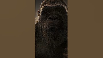 POR esto es “KING KONG” | la estrella de CUBOT ¿honor a su nombre? #cubot #kingkong #cubotkingkong