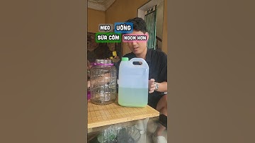 mẹo uống rượu cốm #sonsansale #ruoucom