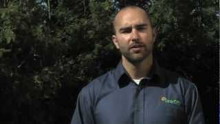 How to Make Your Home More Energy Efficient