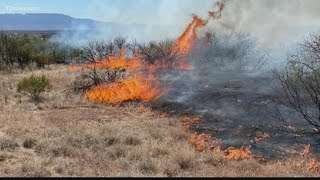 Arizona wildfire updates for June 14