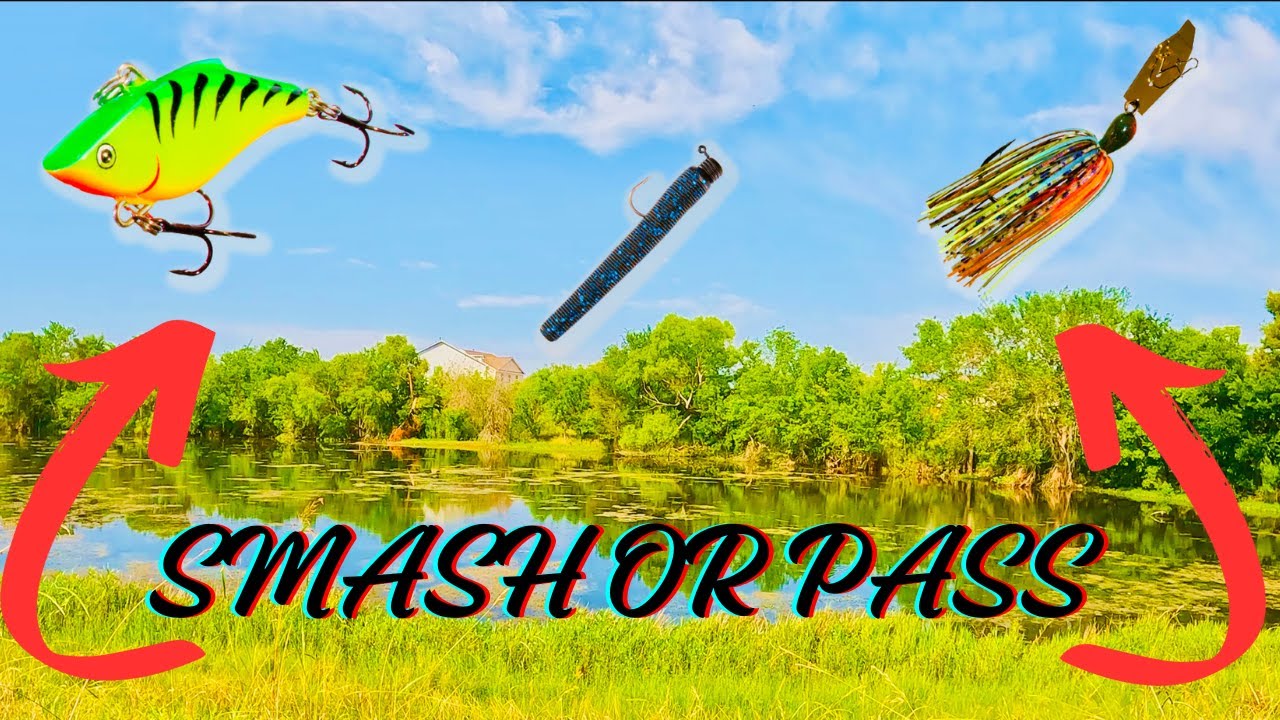 YOU MUST fish THESE during FALL #fishing #bassfishing #fallfishing