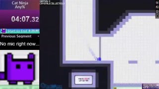 Cat Ninja Speedrun Any% No Level Skip Previous World Record screenshot 1