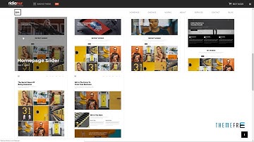 Baowe - Responsive One/Multi Page Portfolio WordPress Theme        Wa