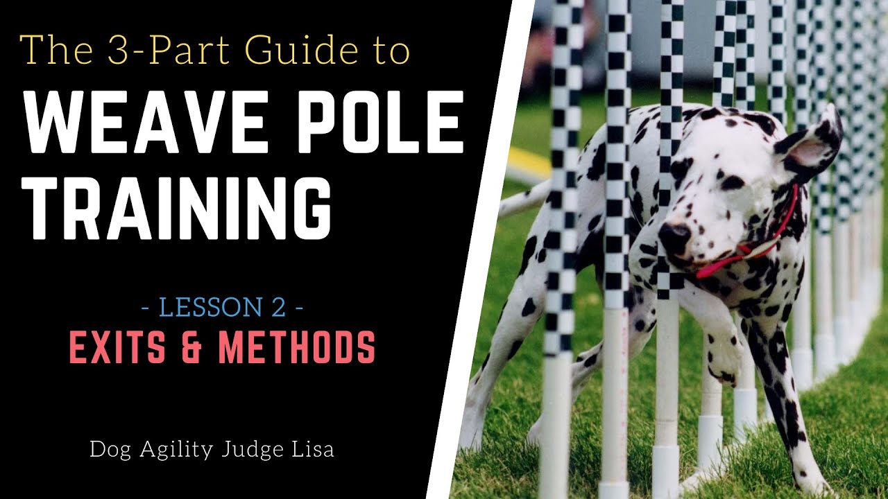 Dog Agility Weave Pole Training The Exit & Learn 5 Weave Methods! Dog Agility Training YouTube