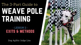 Dog Agility Weave Pole Training  The Exit & Learn 5 Weave Methods! | Dog Agility Training