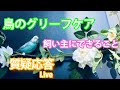 鳥のグリーフケア 飼い主にできること【質疑応答ライブ】
