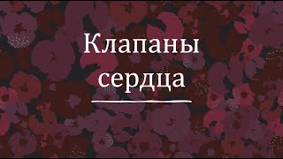 Клапаны сердца - анатомия сердечно-сосудистой системы (ССС)