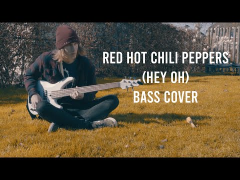 red-hot-chili-peppers---snow-(hey-oh)---bass-cover