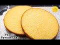 How to make perfect vanilla sponge cake / Best sponge cake recipe / Basic cake for beginners