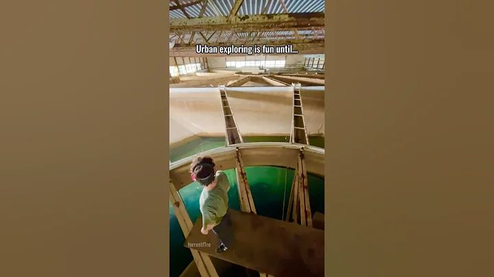 You think they’re friendly? (squatters encounter)